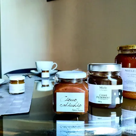 Napolixsuite * Napoli